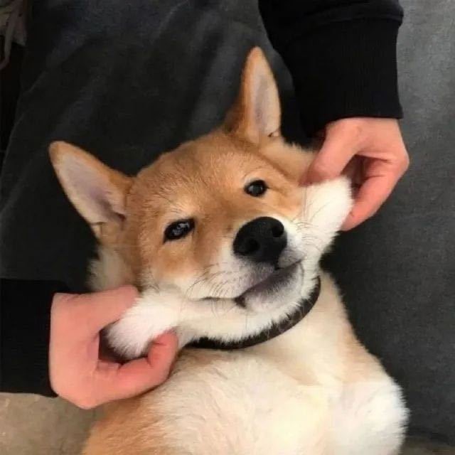 白开水